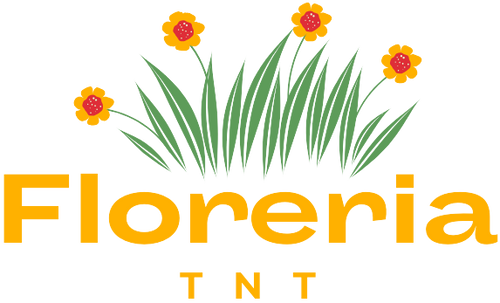 Floreria TNT